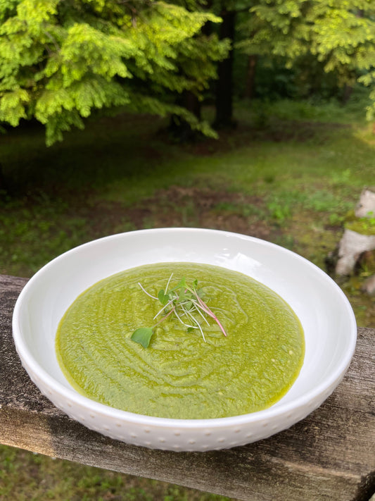 Microgreens Pesto Recipe