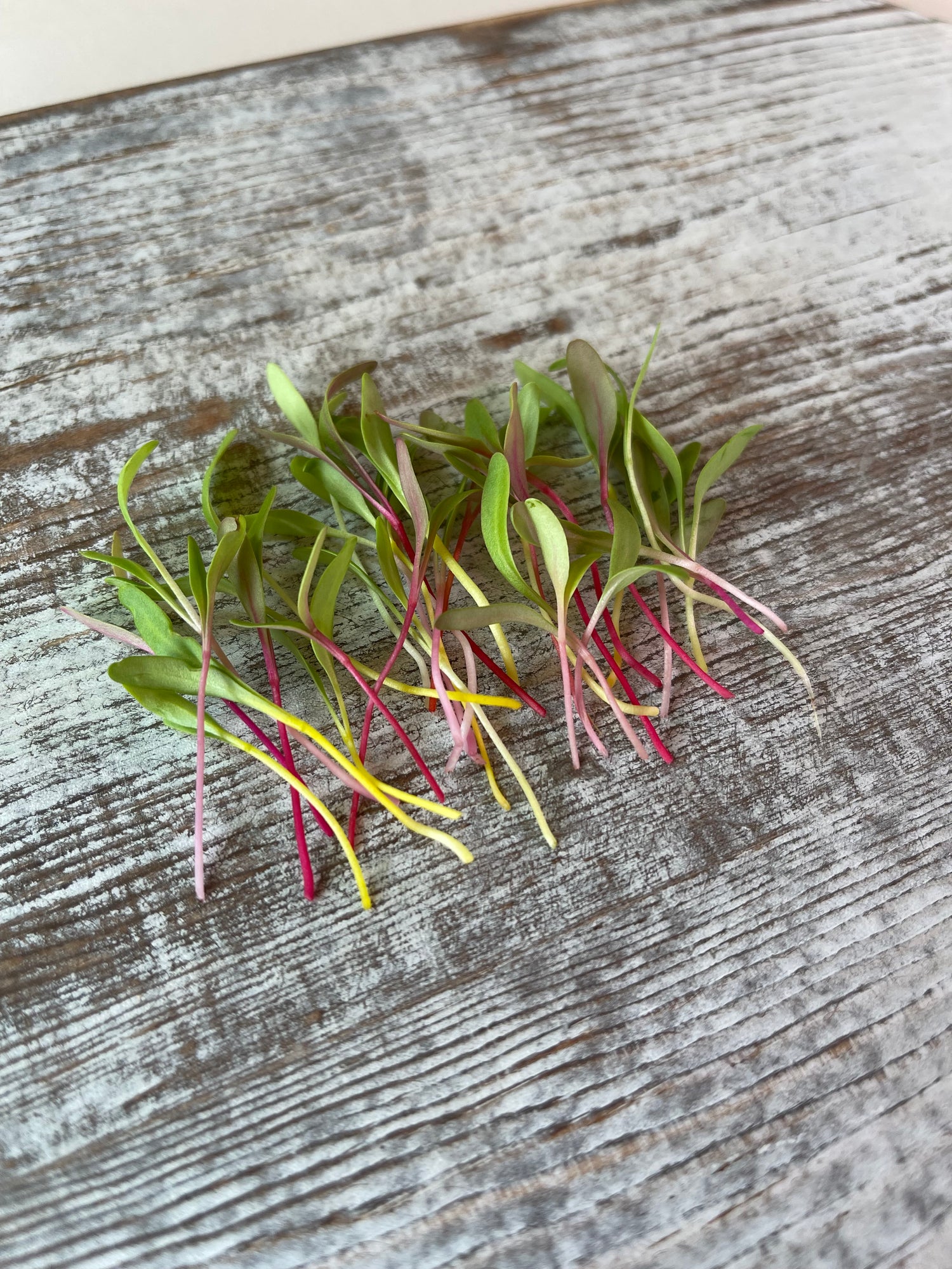 What are Microgreens?